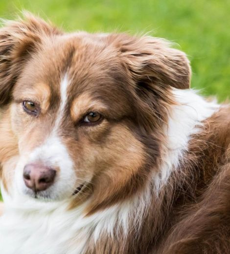 Unsere Ayka